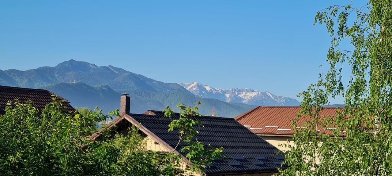 Casa Aryan Apartment Sînpetru Екстериор снимка