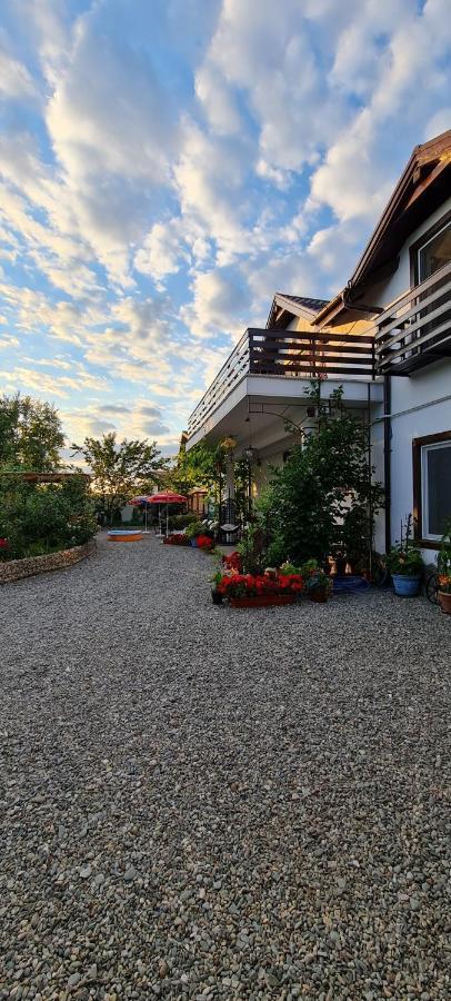 Casa Aryan Apartment Sînpetru Екстериор снимка
