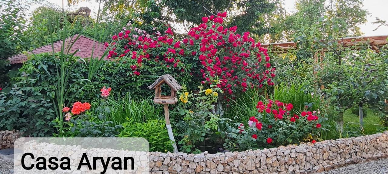 Casa Aryan Apartment Sînpetru Екстериор снимка