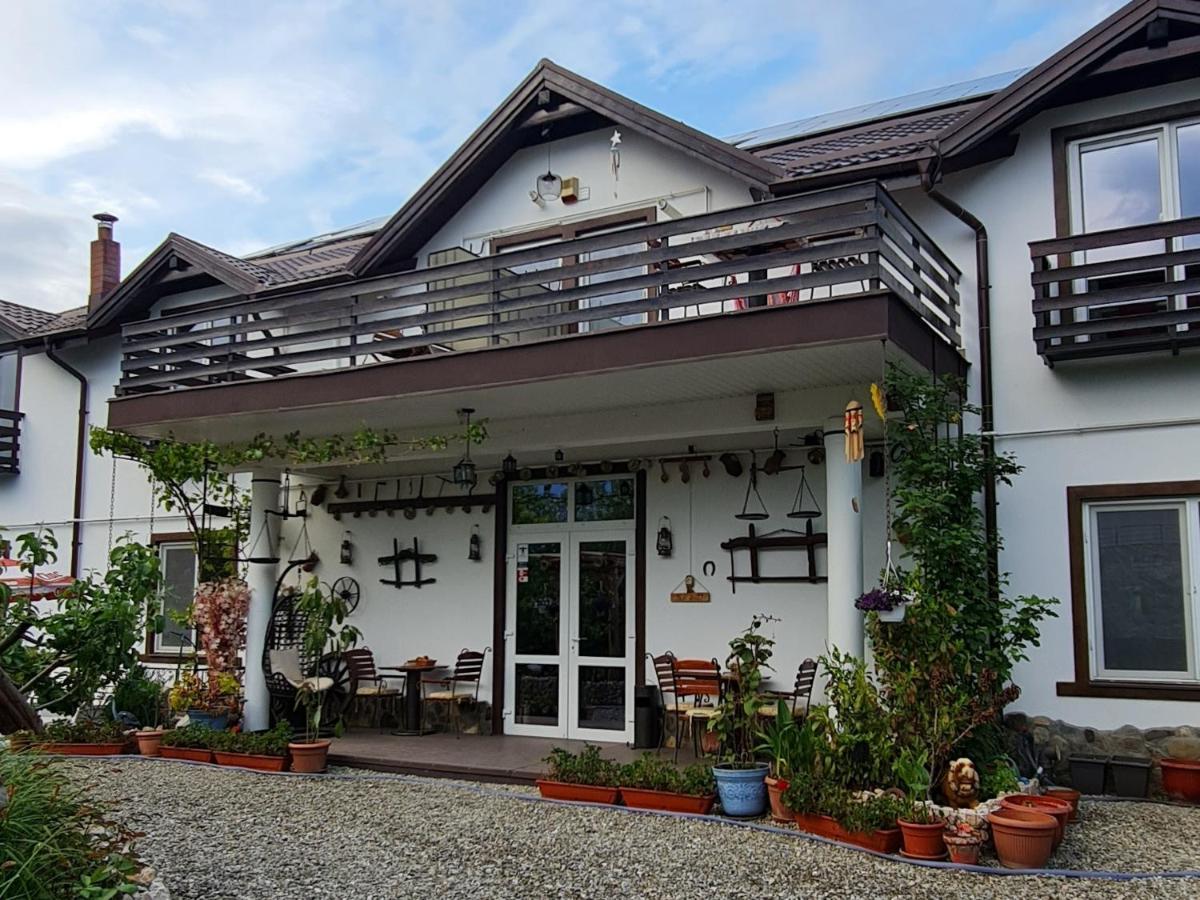 Casa Aryan Apartment Sînpetru Екстериор снимка