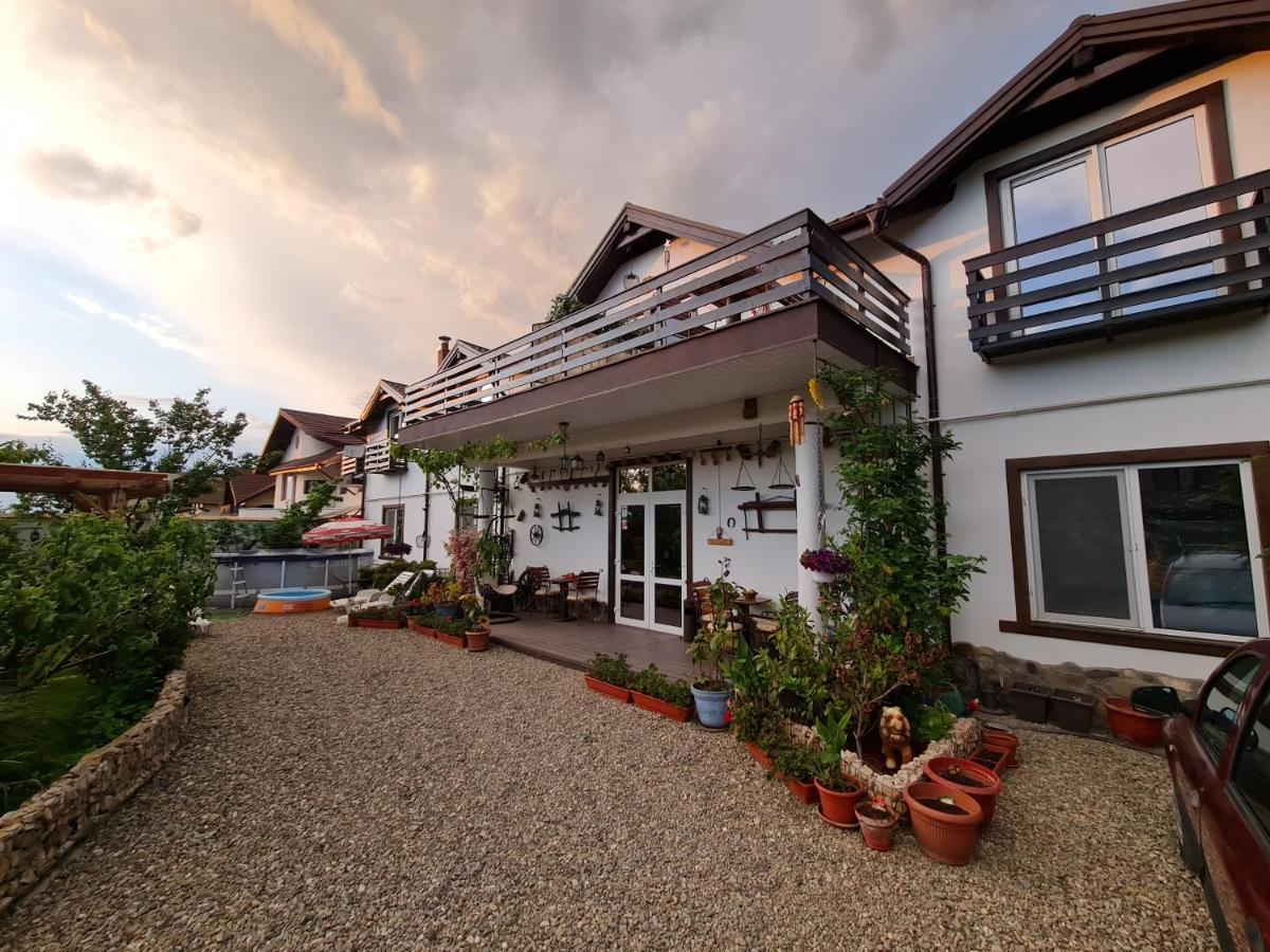 Casa Aryan Apartment Sînpetru Екстериор снимка