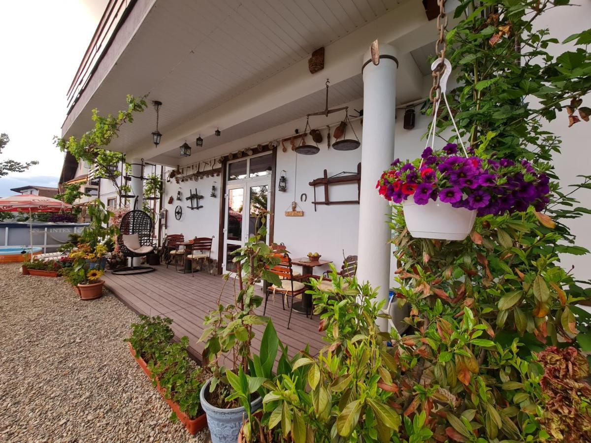 Casa Aryan Apartment Sînpetru Екстериор снимка