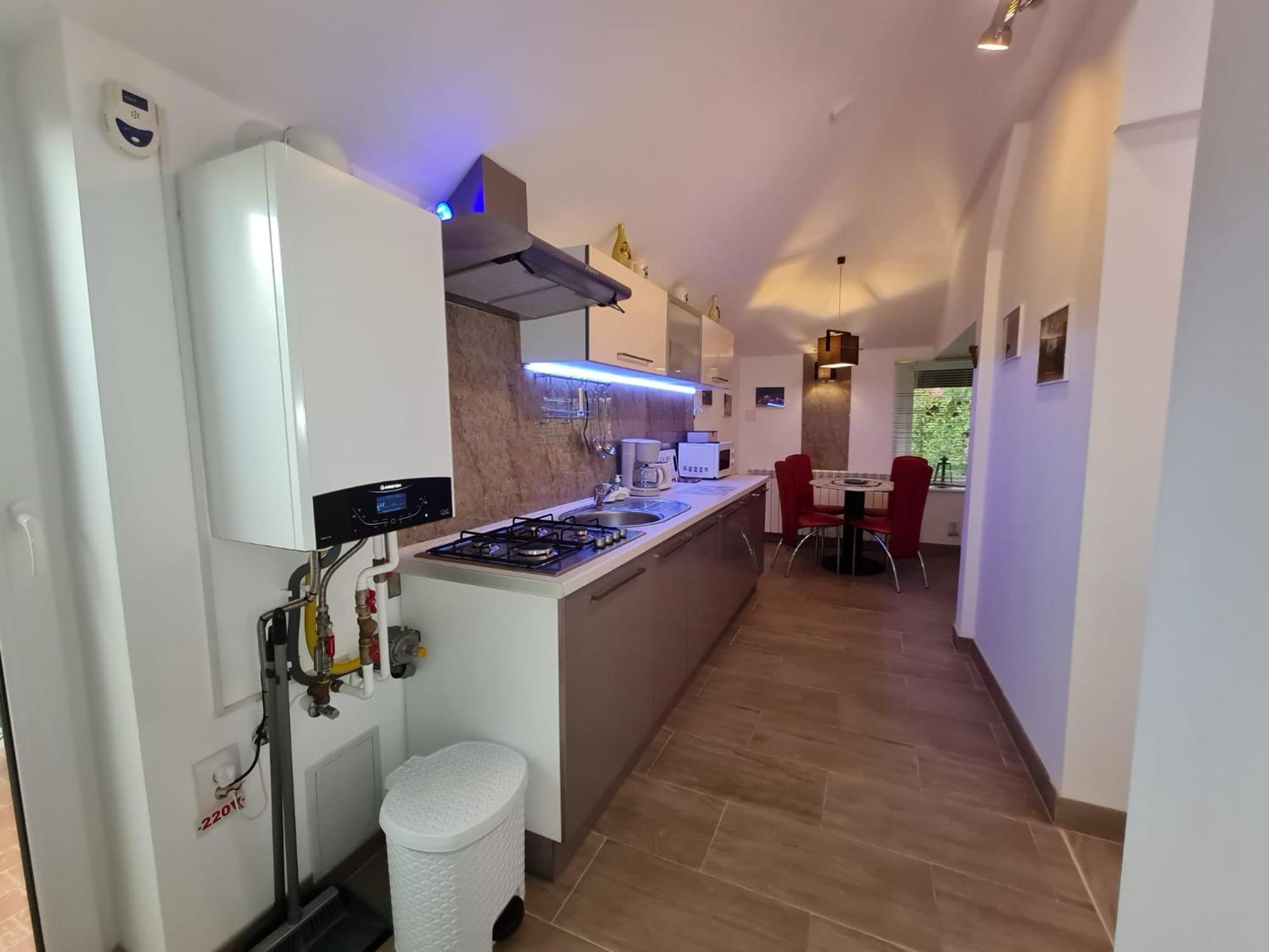 Casa Aryan Apartment Sînpetru Екстериор снимка